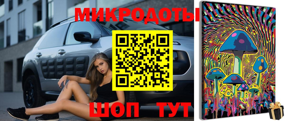 Псилоцибиновые грибы Psilocybe Ишим